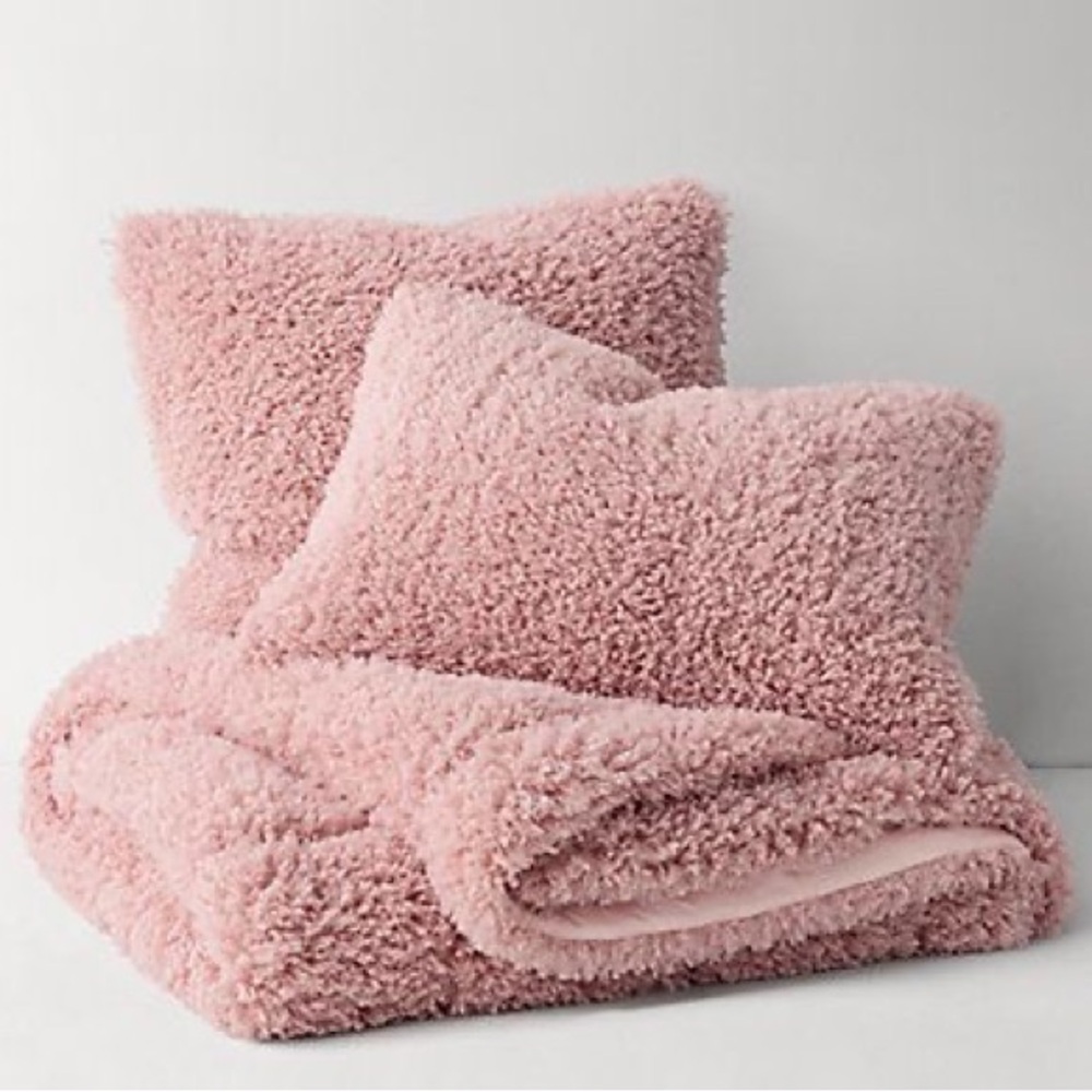 Restoration Hardware Comforter and Sham Set